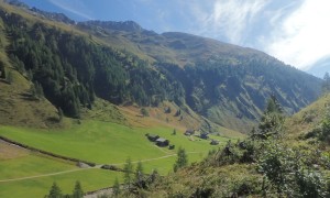 Hochgrabe über Wildegg - Abstieg Richtung Volkzein