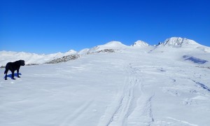 Skitour Wurzfläche - Aufstieg Rauchegg mit Gumriaul und Gölbner