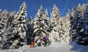 Skitour Gabesitten 2014 - Aufstieg oberhalb Obwurzen