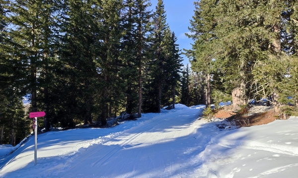 Tourbild - Pistentour Dorfberglift (Osttirol)