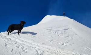 Skitour Hochgrabe - Schlussaufstieg