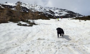 Skitour Hochgrabe - Abfahrt, unterhalb der Heinkaralm