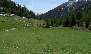 Bike- und Bergtour Über den Kofel nach Maria Luggau - Tourbild