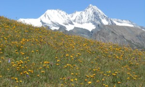 Bergtour Kendlspitze - Kontrast Grossglockner