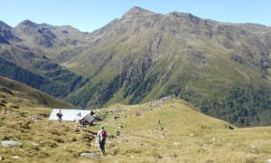 Bergtour Regenstein - Schafalmwandertag