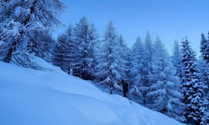 Skitour Öfenspitze - Aufstieg