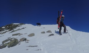 Skitour Regenstein - kurz vor dem Gipfel