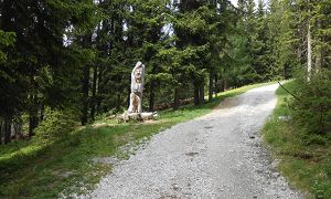 Biketour Jägerhütte - Tourbild