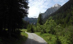 Bergtour Obstans - Zustieg über Forstweg