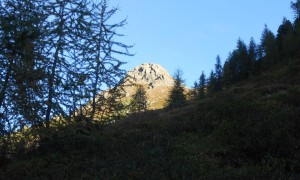 Bergtour Kachaswand - Blick zur Steinter Alm