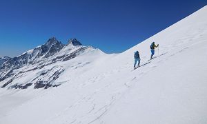 Skihochtour Kärnten Hohe Riffl & Johannisberg - Tourbild