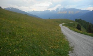 Berglauf Rund um den Thurntaler - Rückweg