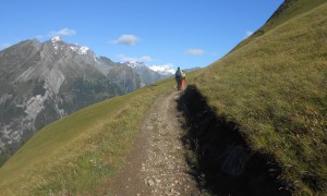 Bergtour Muntanitz - Edelweißwiese