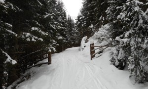 Skitour Spitzköfele - Austieg durch das Rollertal