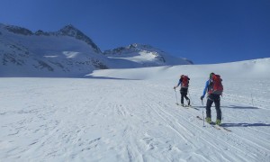 Skitouren Adamellogruppe - Mandronegletscher mit Blick zum Lobbia Alta & Cresta Croce