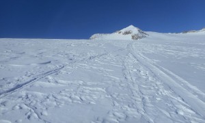 Skitouren Adamellogruppe - Mandronegletscher mit Blick zum Corno Bianco