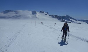 Skitouren Adamellogruppe - Adamellogletscher mit Blick zum Monte Fumo