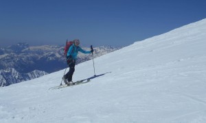 Skitouren Adamellogruppe - Gipfelanstieg Adamello