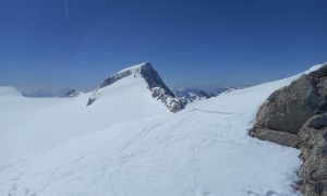 Skitouren Adamellogruppe - Schlussanstieg Corno Bianco mit Blick zum Adamello