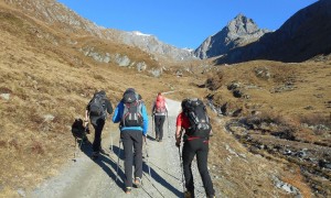 Hoher Eichham - bei der Schmiedleralm, Nilltal