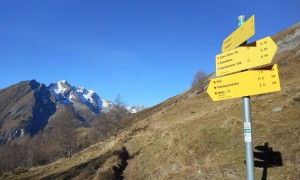 Bergtour Nussingkogel - Steiner Alm mit Blick zum Ochsenbug