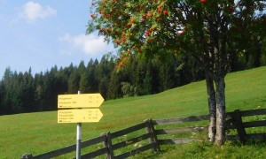 Bergtour Hollbrucker Spitze - Abzweigung