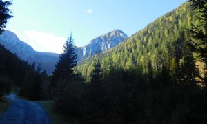 Bergtour Gatterspitze - Gipfelblick vom Winkler Tal