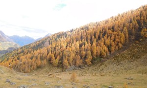 Bergtour Großer Zunig - kurz vor der Arnitzalm