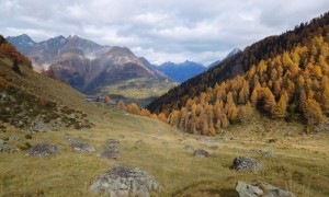 Bergtour Großer Zunig - Arnitzalm