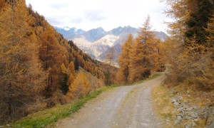 Bergtour Großer Zunig - Abstieg