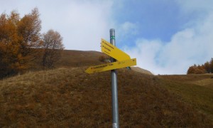 Bergtour Bretterwandspitze - Wegweiser Edelweißwiese