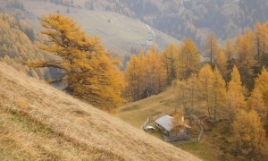 Bergtour Bretterwandspitze - Abstieg, Edelweißwiese