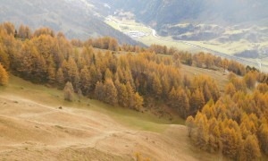 Bergtour Bretterwandspitze - Abstieg, Edelweißwiese