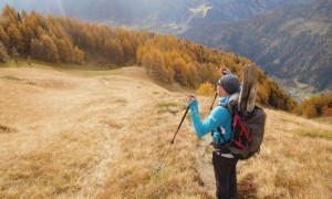 Bergtour Bretterwandspitze - Abstieg, Edelweißwiese