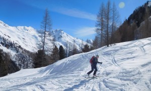 Skitour Althaus 2018 - Aufstieg Villponer Alm, Regenstein im Hintergrund