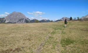 Blick zum Eggenkofel