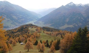 Bergtour Hintereggkogel - Abstieg Zedlacher Wiesen