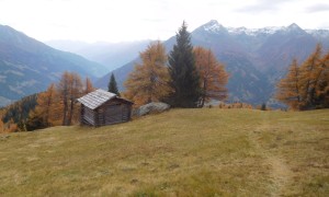 Bergtour Hintereggkogel - Abstieg Zedlacher Wiesen