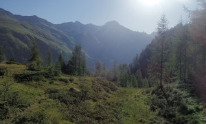 Kletterstour Sauspitze - Zustieg, Blick zum Regenstein