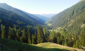 Seenparadies zum Regenstein - Blick talauswärts Winkeltal