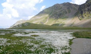 Seenparadies zum Regenstein - Mondsee