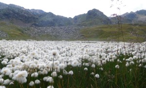 Seenparadies zum Regenstein - Mondsee