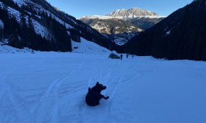 Skitour Hochspitz - Zustieg Winklertal, Rückblick Eggenkofel