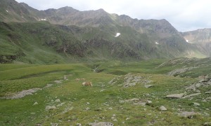 Hochgrabe Königsweg - beim Schrentebachboden