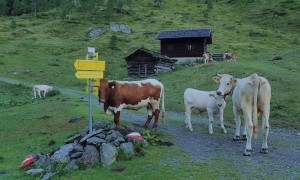 Klettersteig Steinwand - bei der Obergailer Alm