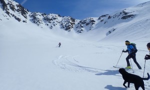 Skitour Gumriaul - Abfahrt mit Pulvergenuss