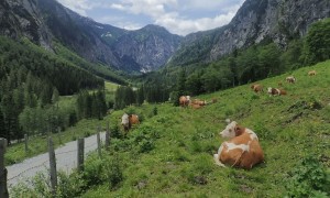 Biketour Wolayerseehütte - im Wolayertal