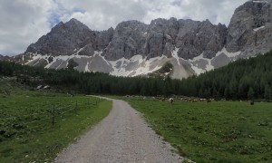 Biketour Wolayerseehütte - Obere Wolayer Alm