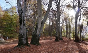 Klettersteig Burrone Giovanelli - Rückweg bei Bait de Manzi