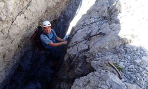 Klettersteig Ellmauer Halt - Gamsängersteig, Abstieg über Leiter